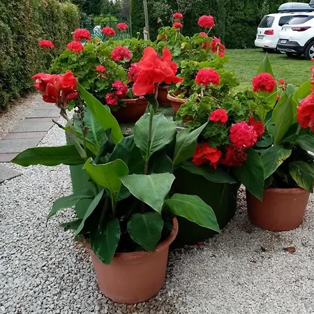 Ferienwohnung Mit Pool Fuer 2 Personen Apartment